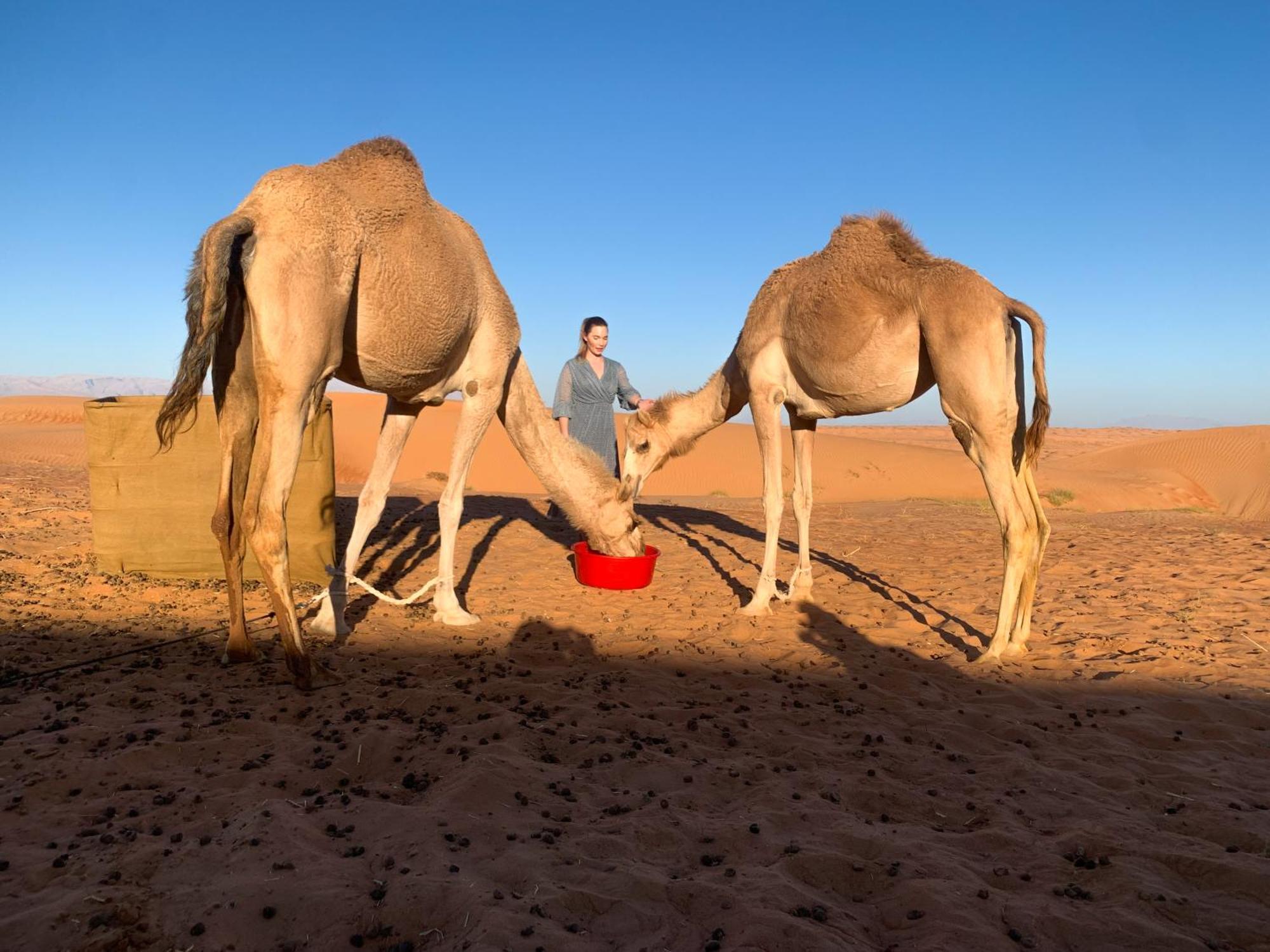 Wahiba Bedouiens Privae Camp Hotel Bidiya Luaran gambar